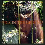 The Enticing Sounds Of Pigs In The Ground